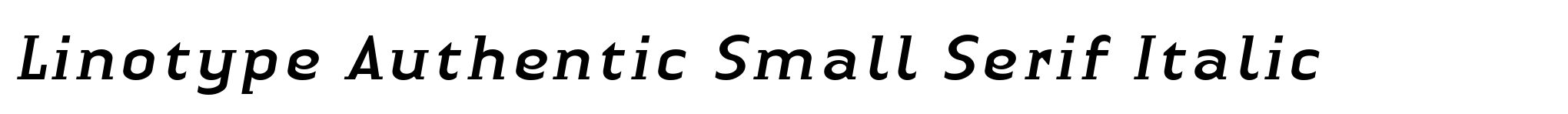 Linotype Authentic Small Serif Italic image